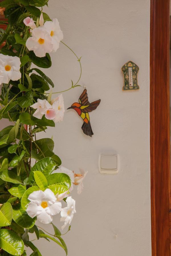 فيلا Casa Carmen Haría المظهر الخارجي الصورة